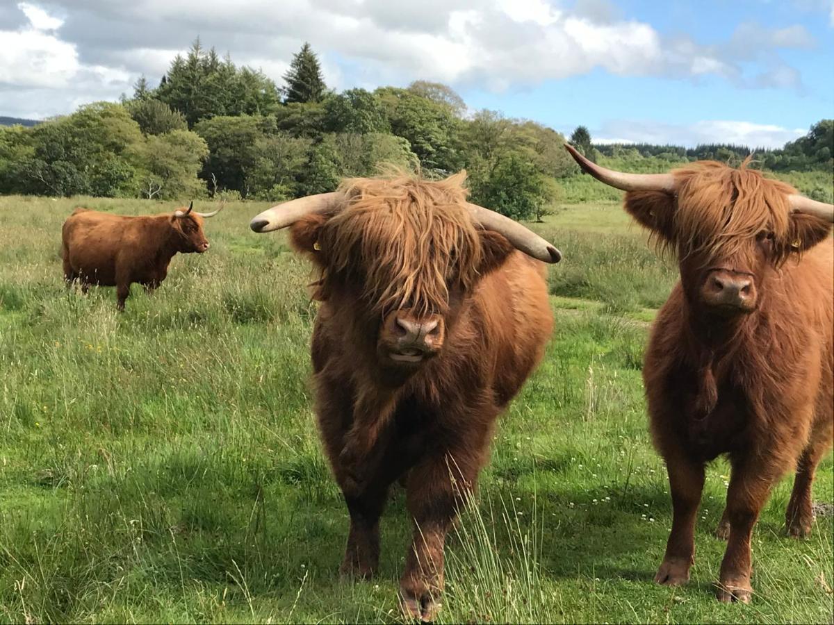 The West Highland Way Pitches Ξενοδοχείο Γλασκώβη Εξωτερικό φωτογραφία